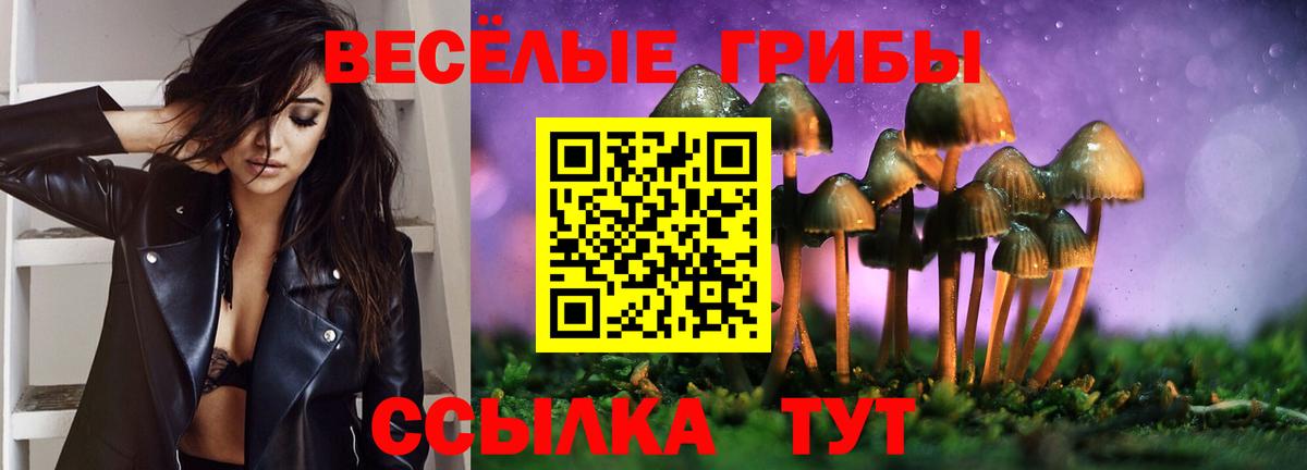 Галлюциногенные грибы Psilocybe  Галлюциногенные грибы ЛСД  Кизилюрт  Вход с VPN 